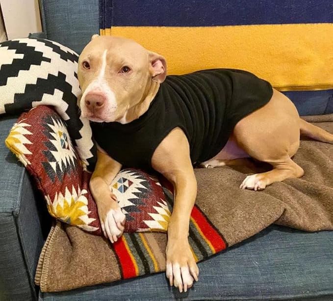 Gooby Stretch Fleece Vest Dog Sweater - Indigo Blue, Large - Warm Pullover Super Stretchy Fleece Dog Jacket for Small to Large Dogs