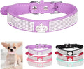 Serijoars Small Dog Collar with Rhinestone Crystal Diamond Colorful Bling Girl Puppy Cat Collars (S, Purple4)