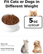 LoeJan Elevated Cat Food Bowl, 5 Oz Ceramic Raised and Tilted Water Bowl, Anti Vomiting and Protect Pets' Spines Dishes for Small Dog, Fat Faced Cat, Kitten (White, 1 Pack)