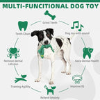 KOOLTAIL Alligator Dog Toys, Tough Plush Dog Chew & Squeaky Toys with Crinkle Paper, Interactive Training & Tug of War Puppy Teething Toy for Indoor Outdoor Play, Pet Toy for Small Medium Large Dogs