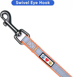 Pawtitas Personalized Dog Leash - Embroidered Customize Your Pet's Name & Phone Number - Reflective 6 ft Long Orange Leash