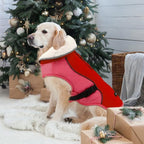 EMUST Dog Jacket Winter, Cozy Windproof Dog Jacket for Cold Weather, Solid Color Pet Vests for Winter for Medium Dogs, New Orange, M