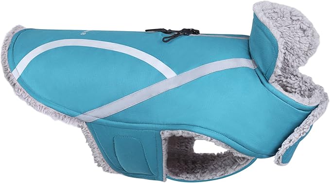 VIVAGLORY Frostfit Dog Coat, Dog Jacket for Winter & Cold Weather, Warm Fluffy Fleece Lined Water Resistant Reflective for Puppy, Coat with Velcro Fastening & Leash Hole, M, Turquoise