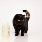 OUAI Fur Bébé Pet Shampoo, Mercer Street Scent - Dog Shampoo and Coat Wash for Hydrating, Cleansing and Adding Shine - Pet Supplies by OUAI (16 Fl Oz)