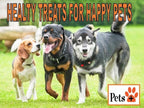 Pets Plus Beef Trachea Dog Chews – 6-Inch, Medium Size, 2 Pack | All-Natural, Grain-Free, High-Protein Dog Treats, Long-Lasting Chews for Dental Health & Joint Support