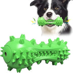 Dog Toy, Toothbrush Dogs Chew Squeaky Toys, Durable Bones for Aggressive Chewers, Dental Oral Care for Small, Medium and Large Dogs - Green
