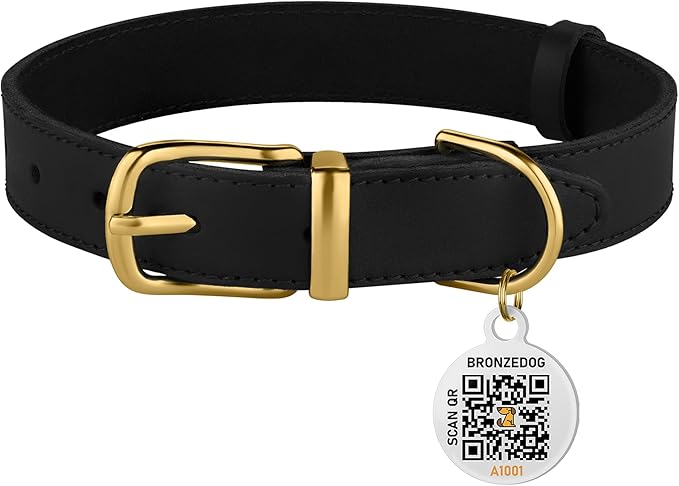BRONZEDOG Leather Dog Collar with Metal Buckle Durable Basic Pet Collars for Small Medium Large Dogs (19-21 Inch (Pack of 1), Black & Gold Buckle)