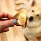 Lucky Premium Apple Rings – Thin, Crispy, All Natural Jerky Apple Treats for Dogs, Vegetarian Dog Treats with Real Fruit (5 oz)