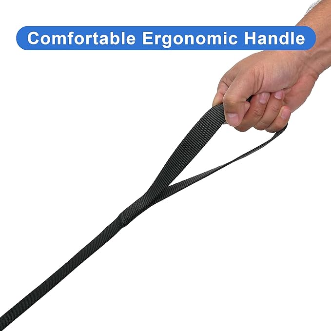 Solid Dog Leash - 6 Ft