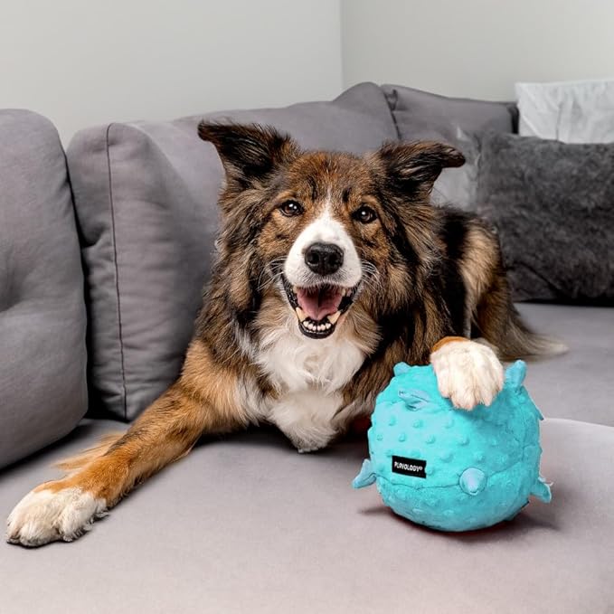Playology Dog Toys | Puppy Toy Plush Sensory Ball for Dogs and Puppies for Dogs and Puppies | Jumbo Peanut Butter Scented Toy - Easy to Clean and Made from Non Toxic Materials