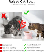 Cat Water Bowl, 16 OZ Ceramic Elevated Cat Bowls, 15° Tilted and Raised Pet Food Dish, Anti Vomiting Protect Pets' Spines and Whisker Fatigue