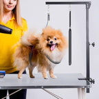 Dog Grooming Arm with Clamp, Heavy Duty Pet Grooming Table Arm with Grooming Hammock, Loop Noose & Two No-Sit Haunch Holder, 36" Height Adjustable for Medium & Small Pets, Black
