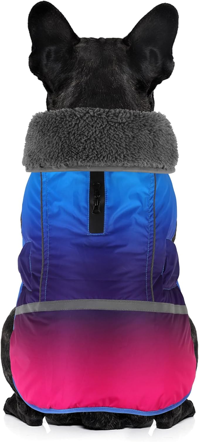 Dogcheer Warm Dog Coat, Waterproof Dog Winter Jacket Christmas Puppy Cold Weather Coats with Buckle, Reflective Adjustable Pet Snow Jacket for Small Medium Large Dogs - Gradient Blue-red, XL