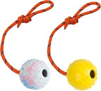 2 Pack Dog Ball, K9 Ball on Rope for Reward, Fetch, Play (6cm)