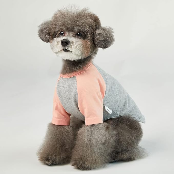 Dog Shirt for Small and Large Dogs Raglan Cotton T-Shirts Soft Breathable Dog Shirts pet Clothes Gray Series (Small, Gray/Peach)