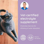 Petralyte Cat Hydration Electrolyte and Cat Joint Supplement | Hydration Support for Cats w/Glucosamine, Chondroitin, L-Glutamine, Taurine, Lysine & Prebiotics | for Salmon Lovers | 32 Packets
