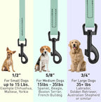 Dogline Biothane Waterproof Dog Leash Strong Coated Nylon Webbing with Black Hardware Odor-Proof Easy to Clean High Performance for Small or Large Dogs Made in USA 4 or 6 ft Lead, Sage Green