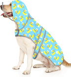 HDE Dog Raincoat with Clear Hood Rain Jacket Poncho for Small Medium Large Dogs Sailor Ducks Blue - L