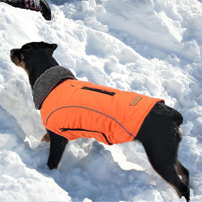 EMUST Winter Dog Coat for Medium Boys - Thick Clothes with Harness Hole for Cold Weather, Orange, M