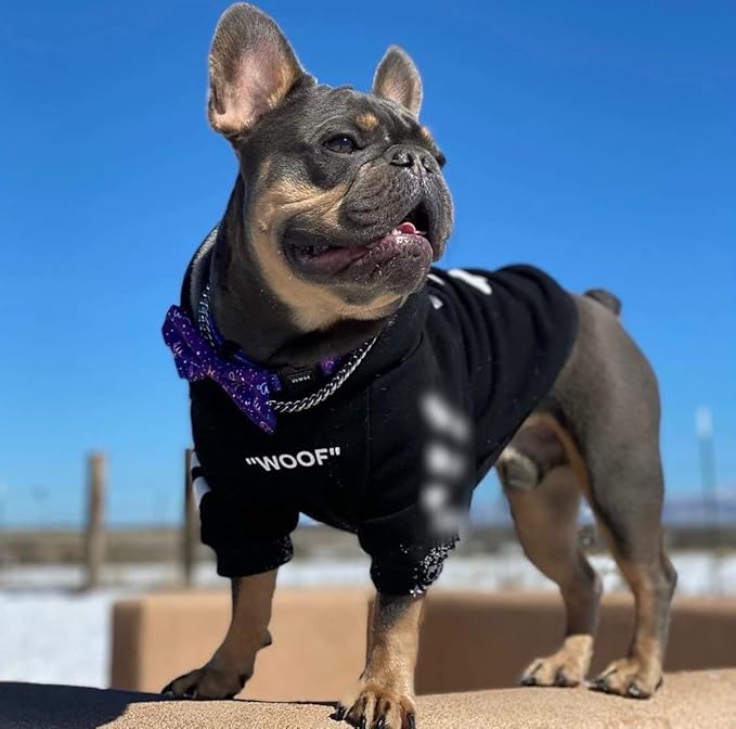 ChoChoCho Stylish Dog Hoodie Dog Clothes Streetwear Cotton Sweatshirt Fashion Outfit for Dogs Cats Puppy Small Medium Large (S, Black)