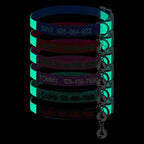 Personalized Nylon Cat Collar Breakaway with Bell, Custom Glow in The Dark ID Collar with Embroidered Name and Phone Number (Glow in The Dark)