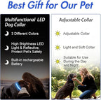 YFbrite Ultra Light Adjustable LED Dog Collar, Light up Dog Collars Rechargeable Glowing in The Dark Collars Visiblity & Safety for Small, Medium, Large Dogs (Blue, X-Large)