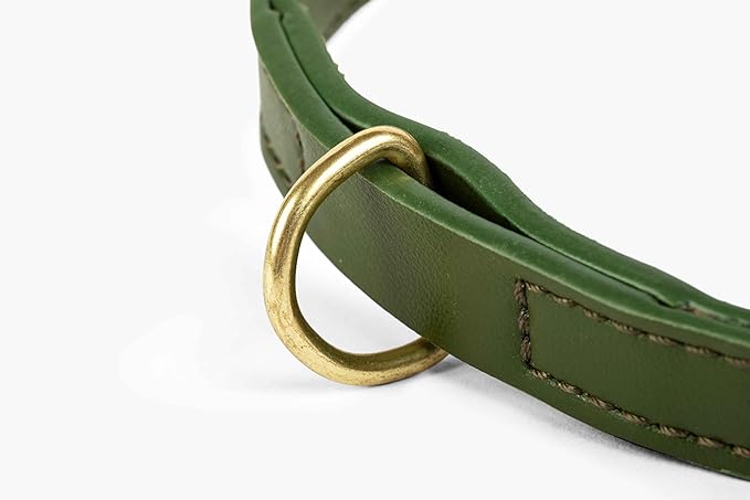 Two Tails Pet Company Cactus Vegan Leather Dog Collar, Adjustable Pet Collar with Gold Hardware and D Rings for Leash and ID Tag for Dogs and Puppies, Easy to Clean & Eco Friendly, Green, Size Small