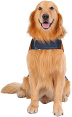 HDE Dog Puffer Jacket Fleece Lined Warm Dog Parka Winter Coat with Harness Hole Navy Retro Stripe - L