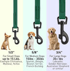 Dogline Biothane Waterproof Dog Leash Strong Coated Nylon Webbing with Black Hardware Odor-Proof Easy to Clean High Performance for Small or Large Dogs Made in USA 4 or 6 ft Lead, Hunter Green