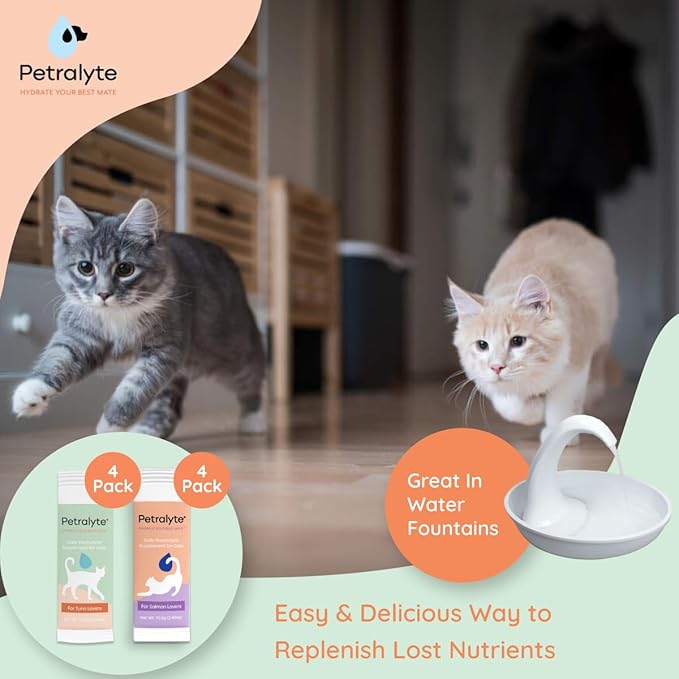 Petralyte Cat Hydration Electrolyte and Cat Joint Supplement | Hydration Support for Cats w/Glucosamine, Chondroitin, L-Glutamine, Taurine, Lysine & Prebiotics | Sample Pack | 8 Packets