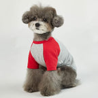 Dog Shirt for Small and Large Dogs Raglan Cotton T-Shirts Soft Breathable Dog Shirts pet Clothes Gray Series (Large, Gray/Red)