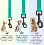 Dogline Biothane Waterproof Dog Leash Strong Coated Nylon Webbing with Black Hardware Odor-Proof Easy to Clean High Performance for Small or Large Dogs Made in USA 4 or 6 ft Lead, Teal