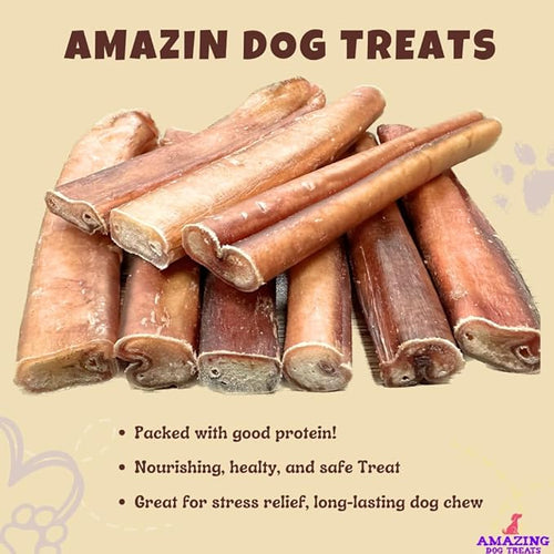 Amazing Dog Treats Bully Stick for Dogs (Extra Thick/Jumbo 6 Inch - 6 Count) - Long Lasting, Safe Chews