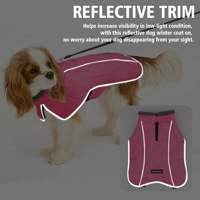 Fragralley Dog Coat Large, Waterproof Dog Jacket with Warm Fleece Lining, Adjustable Reflective Dogs Winter Coat, Turtleneck Pet Coats for Cold Weather (Pink XXL)