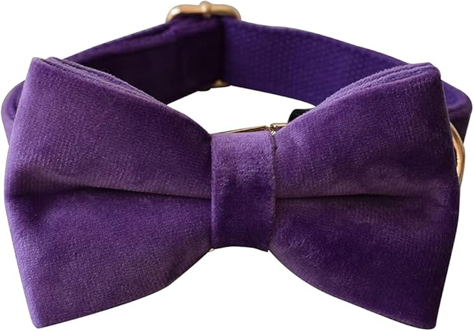 Dog Collar Custom Personalized Engraved Name and Phone Number for Puppy Small Medium Large Pets (S, Purple)