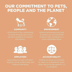 Go! Solutions Digestion + Gut Health, Dry Dog Food, Salmon Recipe with Ancient Grains, 22 lb Bag