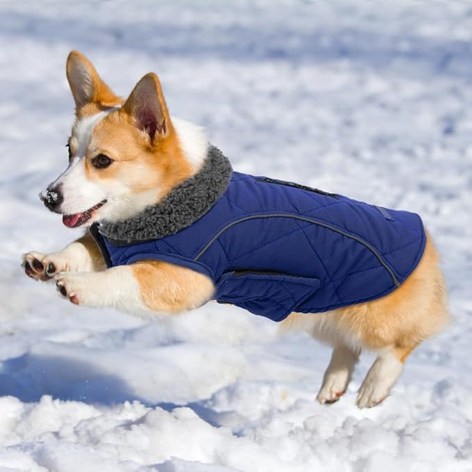EMUST Winter Coat for Large Dogs, Windproof Dog Jacket for Cold Weather, Extra Warm Dog Winter Clothes for Small Medium Large Dogs, Dark Blue, XXL
