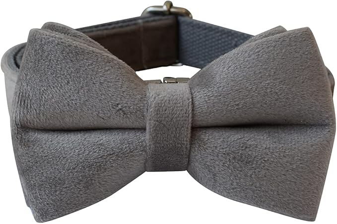 Dog Collar Custom Personalized Engraved Name and Phone Number for Puppy Small Medium Large Pets (M, Grey)