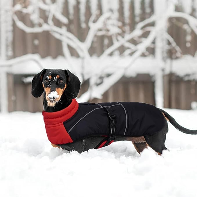 Lelepet Dachshund Coat Warm Dog Winter Coat Waterproof Dog Jacket with Fleece Lining, Reflective Outdoor Dachshund Snowsuit with Leash Hole Adjustable Neckline,Coats for Small Medium Dogs,Red, L