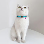 Breakaway Cat Collar Leather with Removable Bell - 13 Colors Available - Soft Adjustable Girl Boy Safety Lightweight Pet Kitten Collars Pink Brown Blue Green Red Orange Black (Blue)