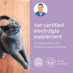 Petralyte Cat Hydration Electrolyte and Cat Joint Supplement | Hydration Support for Cats w/Glucosamine, Chondroitin, L-Glutamine, Taurine, Lysine & Prebiotics | Unflavored | 16 Packets