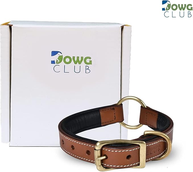 | Genuine Leather Adventure Dog Collar | Full Grain, Heavy Duty | with Inner Cushioned Padding | Best for Medium, Large & XL Dogs (X-Large (Fit Neck Size 22"-26"), Brown with Center O Ring)