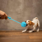 Dog Training Ball on Rope, 2Pcs Dog Rope Toys for Chew Training, Pull Throw and Fetch