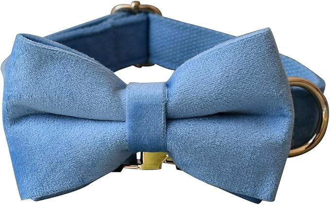 Dog Collar Custom Personalized Engraved Name and Phone Number for Puppy Small Medium Large Pets (XL, Sky Blue)