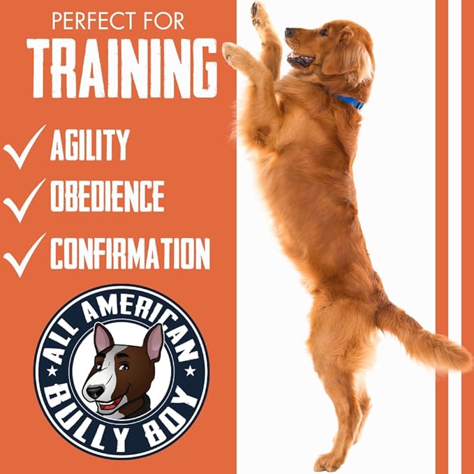 Bully Boy's Famous Chicken Training Nibs Dog Treats | Free from Wheat, Corn, Soy, or Gluten | USA Sourced Ingredients | with Smokehouse Chicken | Made in Utah | 7 oz - 2 Pack
