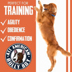 Bully Boy's Famous Chicken Training Nibs Dog Treats | Free from Wheat, Corn, Soy, or Gluten | USA Sourced Ingredients | with Smokehouse Chicken | Made in Utah | 7 oz - 2 Pack