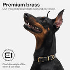 Classic Genuine Leather Dog Collar | Dog Collars for Medium Dogs, Small Dogs, Large Dogs & Extra Large Dog | Wide Dog Collar | Heavy Duty Collar (Black, Medium)