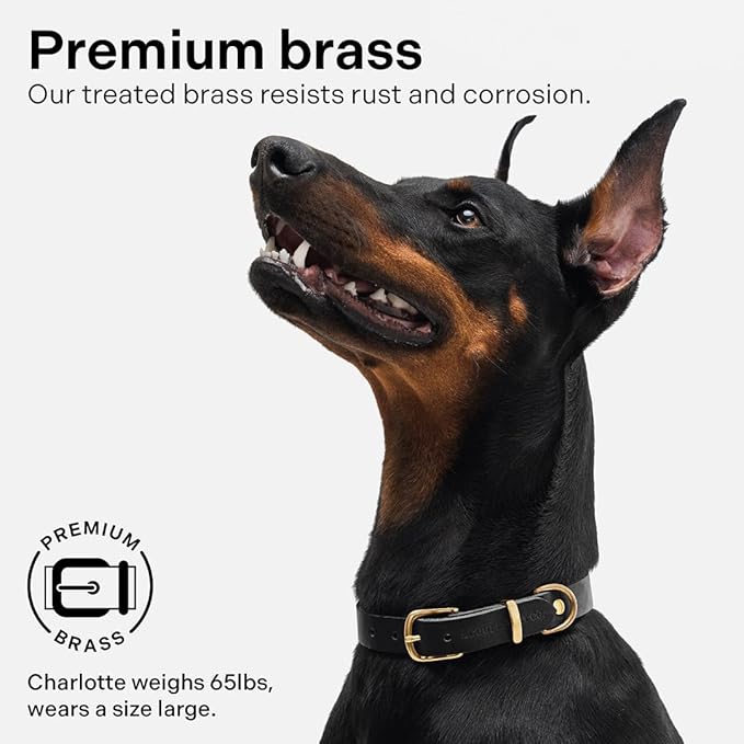 Classic Genuine Leather Dog Collar | Dog Collars for Medium Dogs, Small Dogs, Large Dogs & Extra Large Dog | Wide Dog Collar | Heavy Duty Collar (Black, Extra Large)