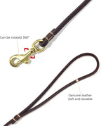 Guiding Star Leather Dog Leash 6 ft x 1/4 inch,Thin and Lightweight Leather Leashes for Small Dogs,Leather Cat Leashes for Small Cats,Soft Genuine Leather Dog Training Leashes for Petite Dogs Brown
