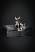 NOAH & PAW Dog Bed, 28x23x11 Inch, Orthopedic Dog Beds for Medium Size Pets, Eggshell Memory Foam Infused with Cooling Gel, Inner Cover, Waterproof, Machine Washable (Velvet Sofa Collection)